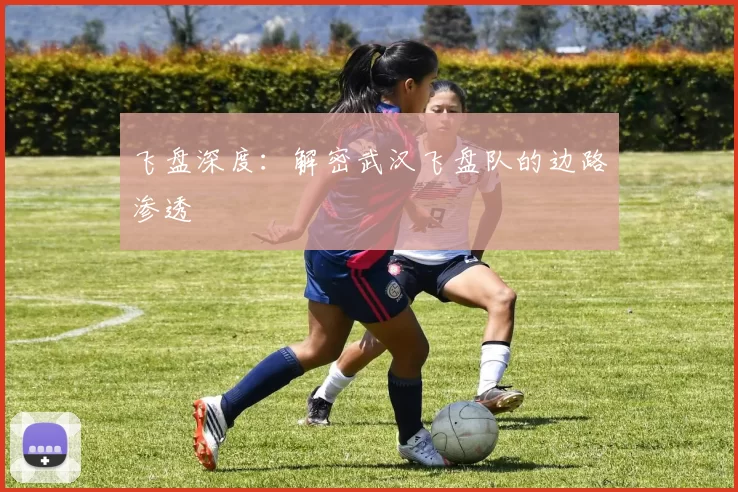 飞盘深度：解密武汉飞盘队的边路渗透