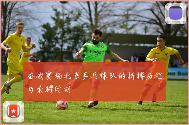 奋战赛场北京乒乓球队的拼搏历程与荣耀时刻