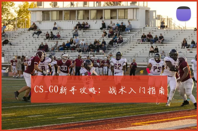 CS_GO新手攻略：战术入门指南