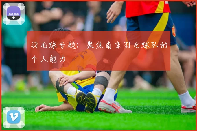 羽毛球专题：聚焦南京羽毛球队的个人能力
