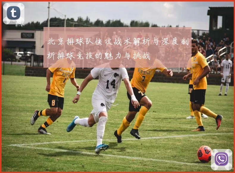 北京排球队快攻战术解析与深度剖析排球竞技的魅力与挑战