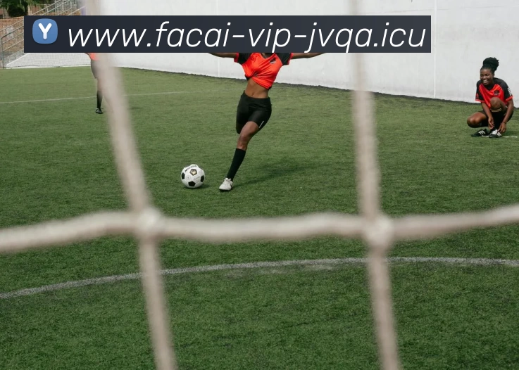 米兰体育APP 封面图